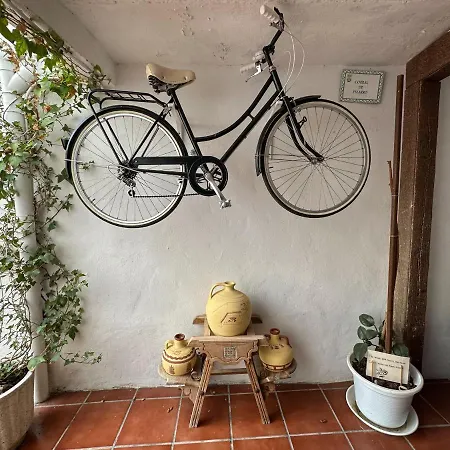 Apartment Casatrujillo *